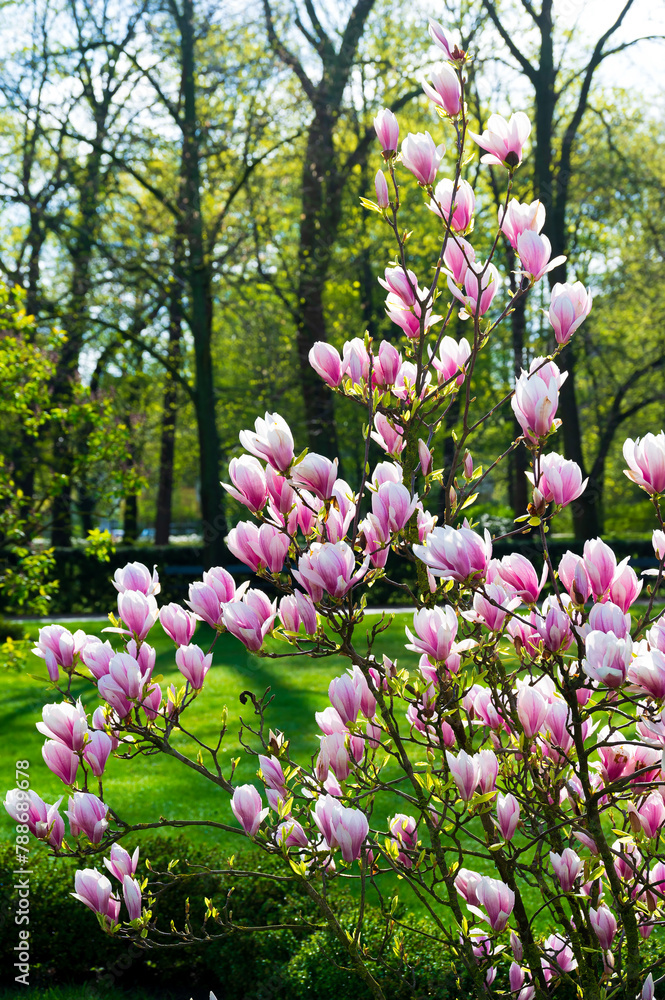 Gardens, photo Wojciech Fondalinski