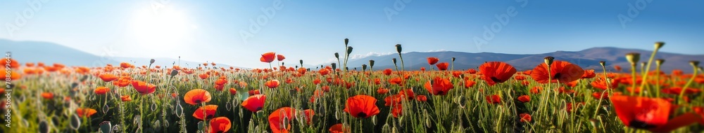 Naklejka premium Sunny Red Poppy Field with Mountain Backdrop
