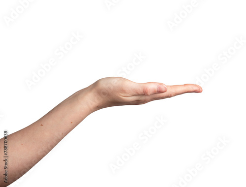 Showing something empty, blank, space on hand palm gesture isolated