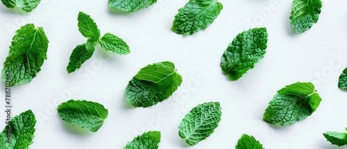 top shot of mint leaves on white background