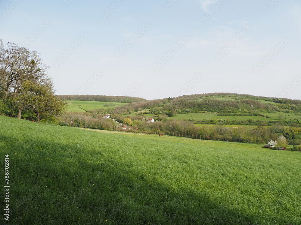 Gräfinthal - Ausflugsziel im Saar-Pfalz-Kreis mit historischer Klosterrruine