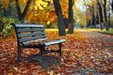 Bench in autumn park. Autumn landscape.