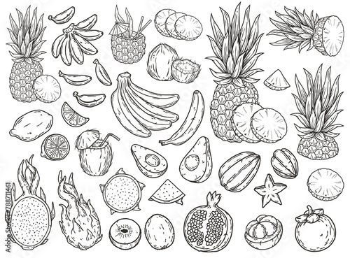 Fototapeta Naklejka Na Ścianę i Meble -  Diverse and exquisite hand-drawn collection of tropical fruits in black and white illustration, including pineapple, banana, lemon, pomegranate, avocado, kiwi, dragon fruit