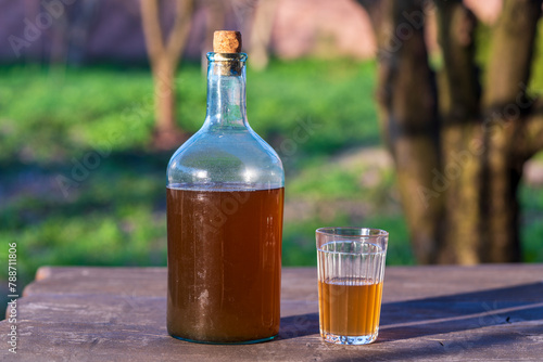 Big bottle with a drink made from fermented birch sap on the wooden table on a warm spring day, closeup. Traditional Ukrainian cold barley drink kvass in a glass jar and glass in yard