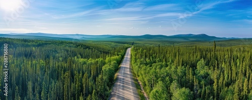 aerial view of a long road going through a forest with blue sky