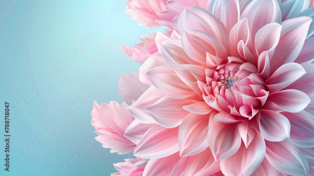Abstract Pink Dahlia Patels on Pastel Blue Background. Spring Flower on Pastel Blue Background. Valentine's Day, Birthday, Happy Women's Day, Mother's Day Banner. With copy space.
