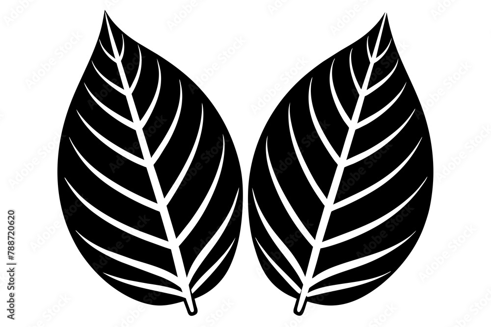 Fototapeta premium Leaf Pair Icon Vector silhouette 