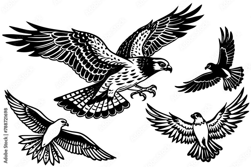 Fototapeta premium Hawk Osprey Falcon Pigeon Seagull flying in the sky vector silhouette