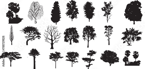 tree, vector, forest, oak, architecture, line, plant, landscape, black, background, maple, branch, elevation, tropical, white, cad, design, art, side, set, nature, architect, outline, abstract, leaf, 