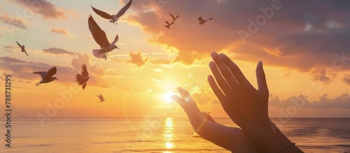 Hands with birds flying  at sunset