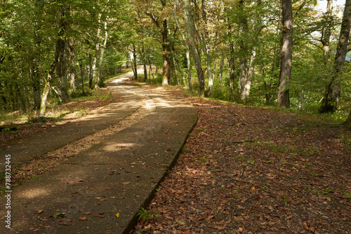 A scenic winding walkway through an oak grove in the mountains. Fall. Leaffall. photo