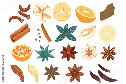 Exotic spice collection isolated vector style photo