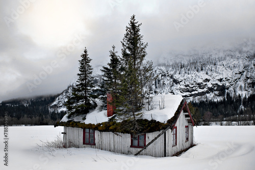 The definition to a tree house