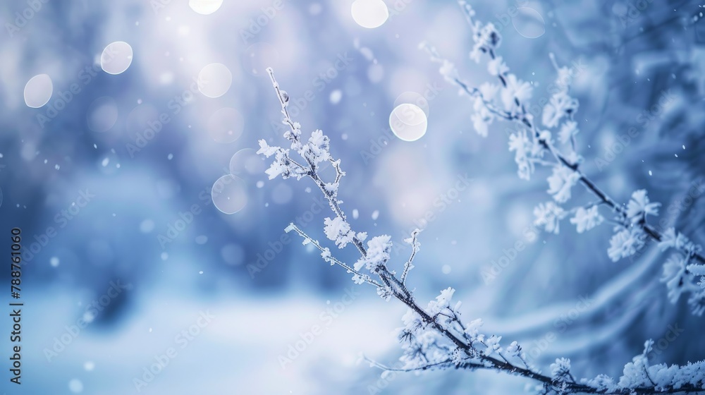 A close-up of a snow-covered branch against a blurred backdrop of wintry trees, showcasing the beauty of winter nature