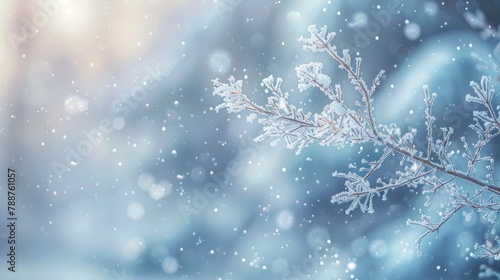 A close-up view of a branch on a tree covered in snow, set against a backdrop of snowy trees in the background © Ilia Nesolenyi