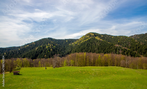 Landscape in a countryside area with a field with green grass and hills with forest in spring