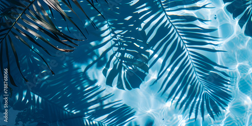 Tropical palm leaf with shadow on blue water surface in swimming pool. Summer vacation at the beach, recreation, tourism and sea travel concept. Beautiful abstract background with copy space.