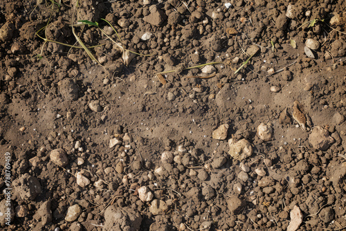 Textured of freshly tilled soil as background. Gardening season. Generative AI