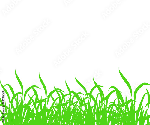 Green grass seamless border. Vector repeatable