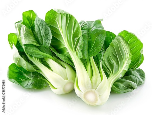 Bok choy vegetable isolated on white background photo