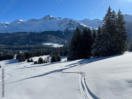 Wonderful winter hiking trails and traces after the winter snowfall above the tourist resorts of Valbella and Lenzerheide in the Swiss Alps - Canton of Grisons, Switzerland (Schweiz) photo