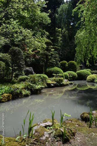 日本庭園 © FRANK