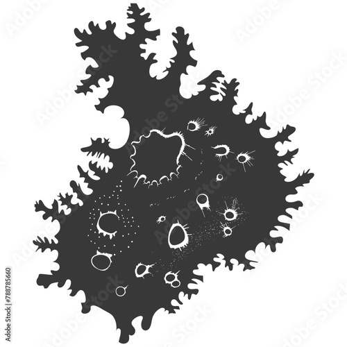 Silhouette amoeba animal black color only