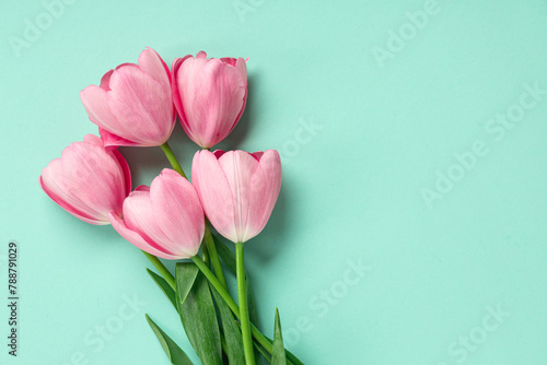 Beautiful pink tulips on turquoise background. Mother's Day celebration #788791029