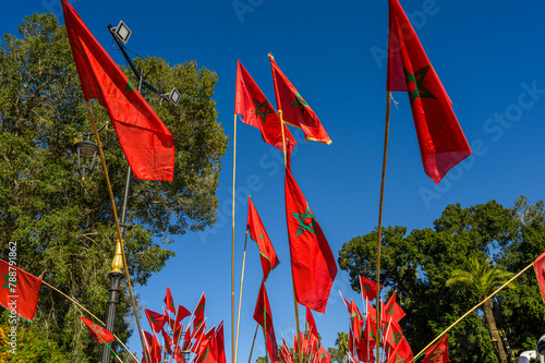 Vibrant Moroccan flags under a clear blue sky