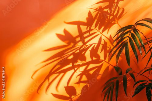 Bright orange background with plant shadows for product or cosmetics.