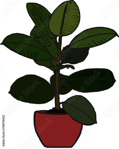 vector plantas regadera