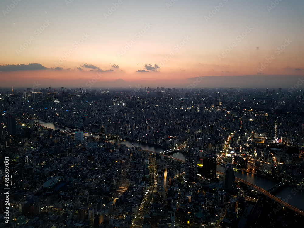 Fototapeta premium A Blockbuster view of the Tokyo Cityscape