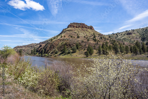 John Day River in spring blooming season, Oregon