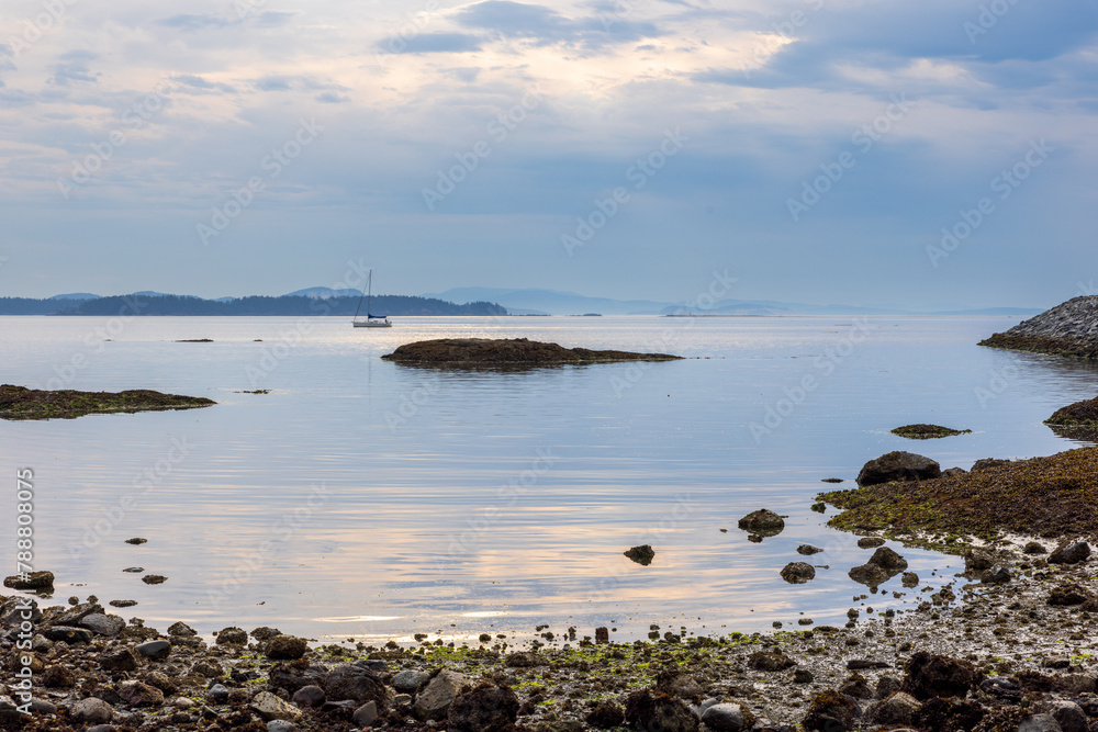 Obraz na plátně Vancouver Island beach shoreline view