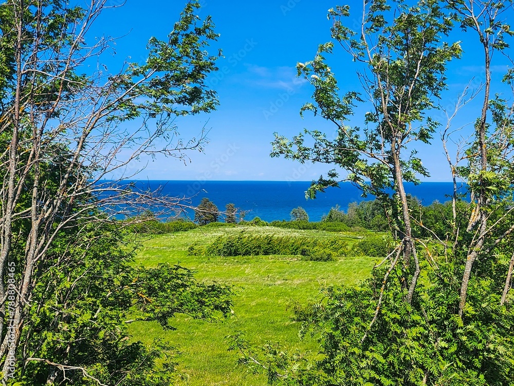A tranquil ocean bay with shimmering blue waters, embraced by towering trees, blooming wildflowers, and a lush green meadow, providing a peaceful backdrop for relaxation and enjoying natures beauty.