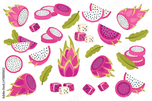 Set of dragon fruits isolated on white background. Fresh exotic Pitahaya in peel, cut into circles, small cubes and slices. Sweet tropical pitaya fruit.  Vector illustration
