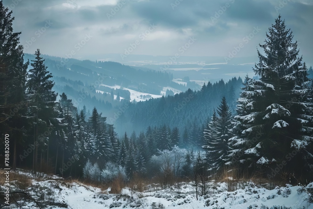 moody landscape of black forest with conifer trees and snow travel destination in germany