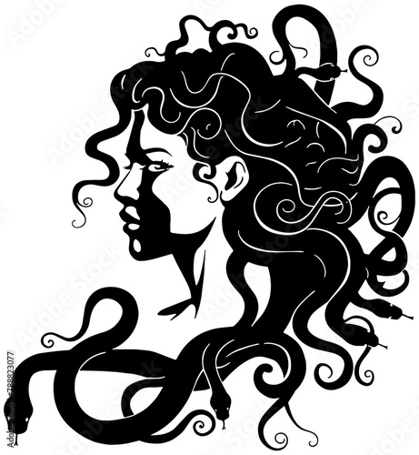 Illustration of the greek goddess Medusa with snakes as her hair, isolated 