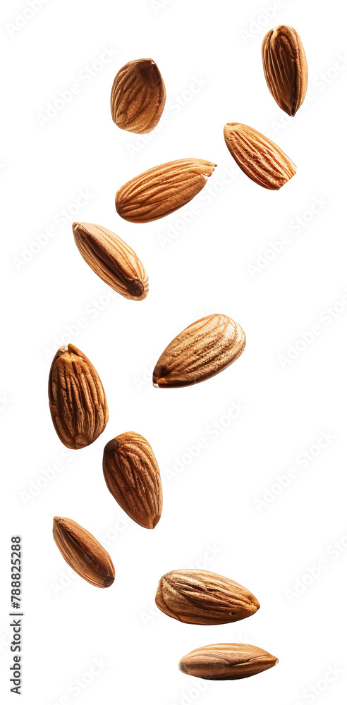 Falling almonds over isolated transparent background Falling almonds over isolated transparent background
