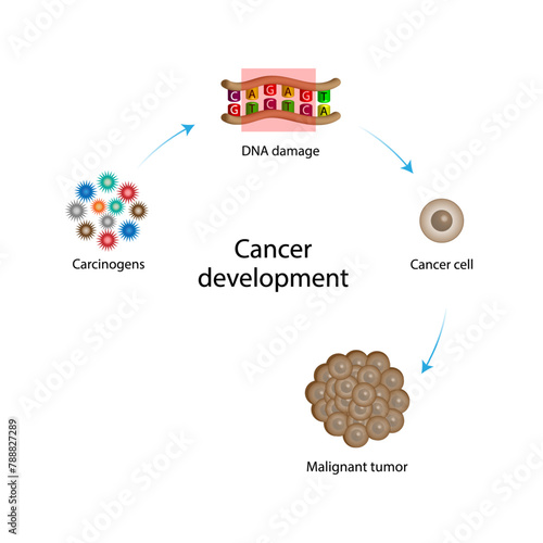 Cancer disease. Carcinogens, DNA damage. Malignant tumor. Medical biological, scientific vector illustration.
