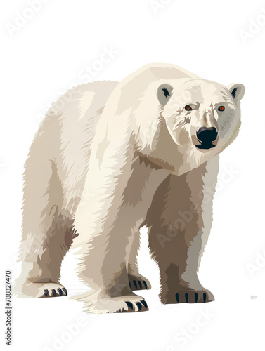 polar bear isolated on white transparent background. PNG format