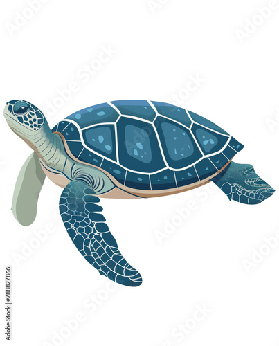 sea turtle flat illustration isolated on white transparent background. PNG format