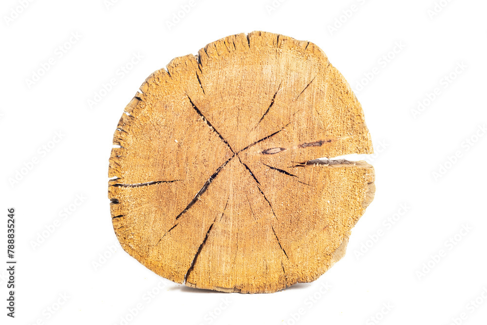Cracked ring of a wooden log. Close-up on a white background. Cracked ring of a wooden log. Close-up on a white background.