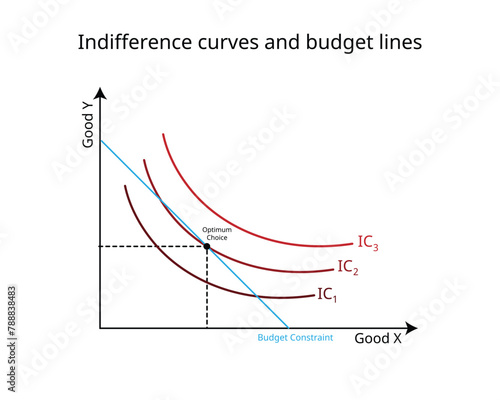 budget constraints and indifference curves graph in economics