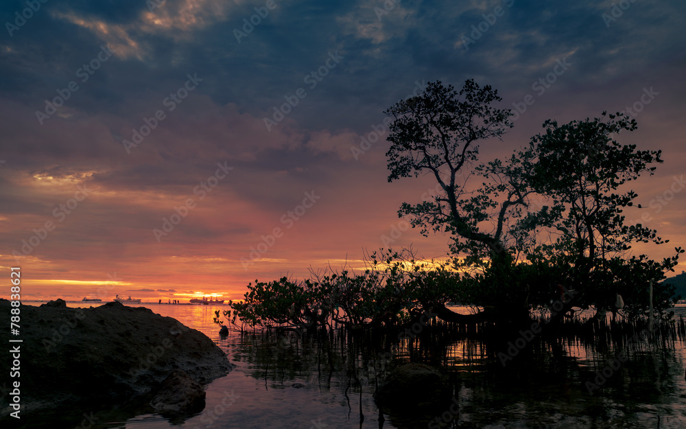 Beautiful calm seaside at sunset with trees and rocks