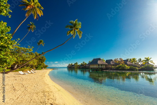 Fototapeta Naklejka Na Ścianę i Meble -  Tropical resort with amazing lagoon on Moorea, French Polynesia