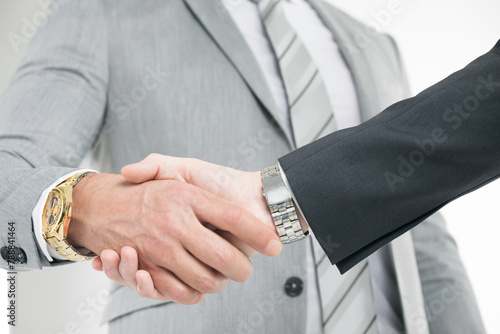 business handshake © yellowj