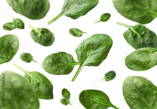 Fresh green spinach leaves falling on white background