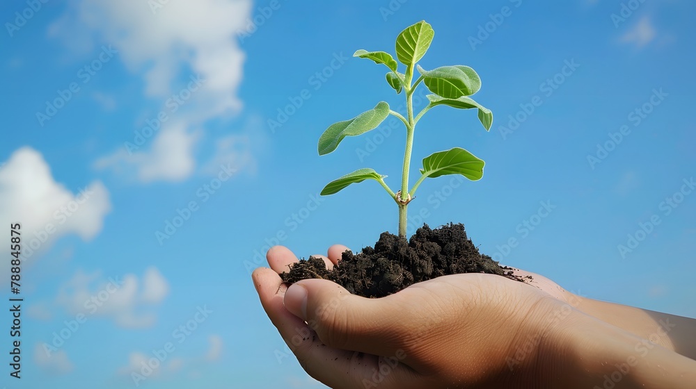 Design of a person holding a young plant in soil against a blue sky, illustrating the new life and sustainable ecologyDesign of a person holding a young plant in soil against a blue sky, illustrating Design of a person holding a young plant in soil against a blue sky, illustrating the new life and sustainable ecologyDesign of a person holding a young plant in soil against a blue sky, illustrating