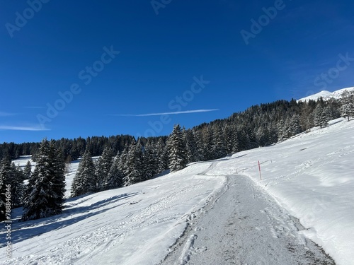 Excellently arranged and cleaned winter trails for walking, hiking, sports and recreation in the area of the tourist resorts of Valbella and Lenzerheide in the Swiss Alps - Switzerland (Schweiz)